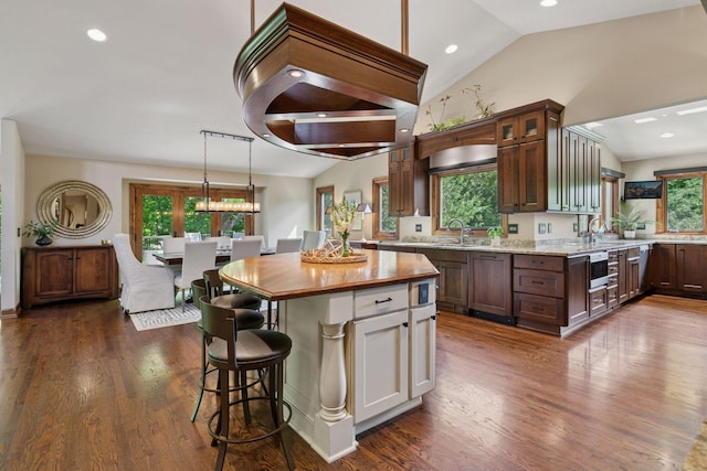 1405 Farm Rd, Chanhassen, MN 55318 - kitchen with vaulted ceiling, a kitchen bar, glass insert cabinets, a sink, and dark wood finished floors