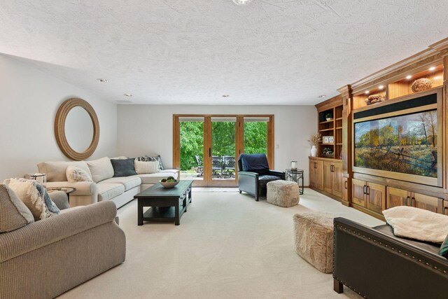 1405 Farm Rd, Chanhassen, MN 55318 - living area featuring carpet floors and a textured ceiling
