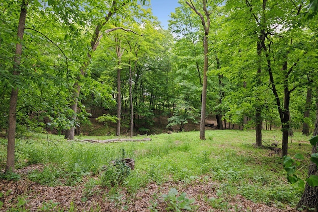 1405 Farm Rd, Chanhassen, MN 55318 - view of wooded area