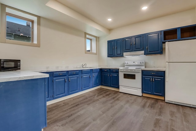324 Douglas St, Chetek, WI 54728 - kitchen featuring white appliances, blue cabinets, under cabinet range hood, wood finished floors, and a sink