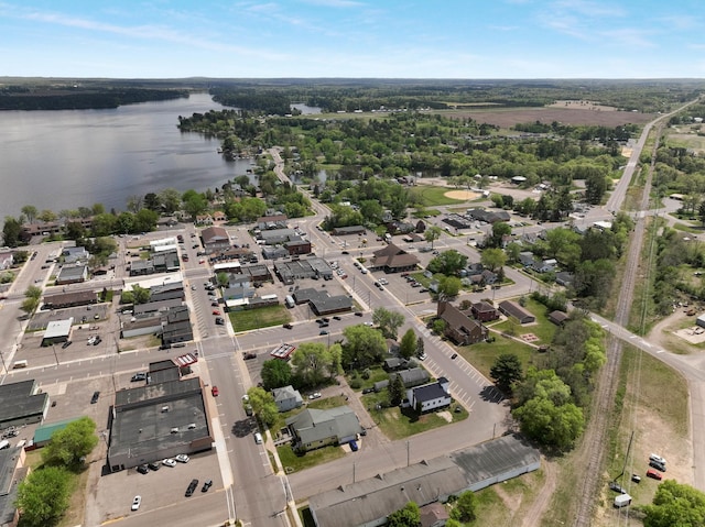 324 Douglas St, Chetek, WI 54728 - aerial view of property's location with a large body of water