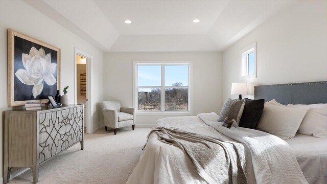 2065 Lusitano St, Shakopee, MN 55379 - photo 49