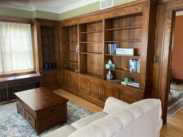 503 14th Ave SW, Rochester, MN 55902 - living area with radiator heating unit and light wood-style flooring