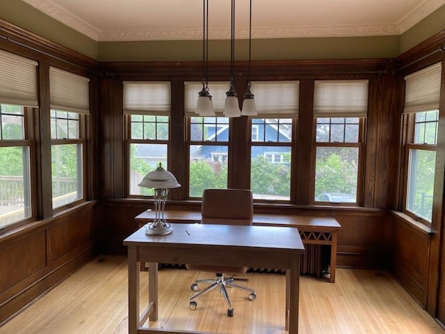 503 14th Ave SW, Rochester, MN 55902 - office with light wood-type flooring and radiator heating unit