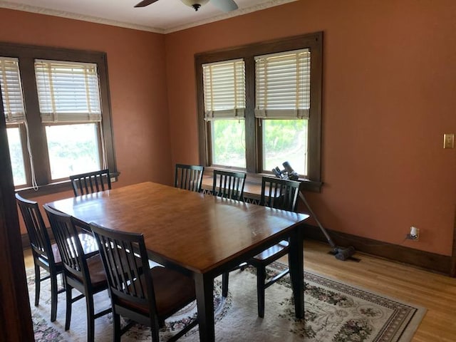 503 14th Ave SW, Rochester, MN 55902 - dining room with light wood-style floors, plenty of natural light, and a ceiling fan