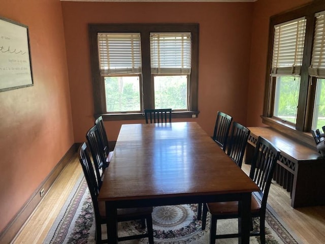 503 14th Ave SW, Rochester, MN 55902 - dining area with light wood-style floors