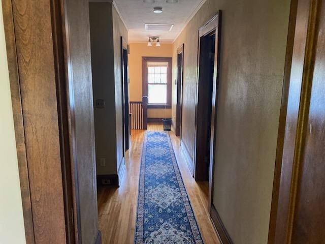 503 14th Ave SW, Rochester, MN 55902 - corridor featuring crown molding, light wood-type flooring, and baseboards