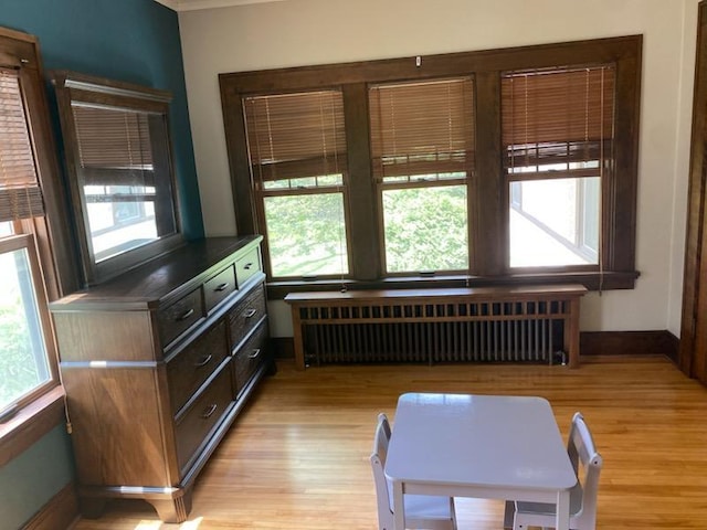 503 14th Ave SW, Rochester, MN 55902 - sitting room with radiator, plenty of natural light, and light wood finished floors