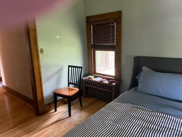 503 14th Ave SW, Rochester, MN 55902 - bedroom featuring wood finished floors and baseboards