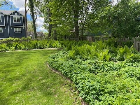 503 14th Ave SW, Rochester, MN 55902 - view of grassy yard