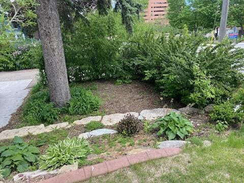 503 14th Ave SW, Rochester, MN 55902 - view of yard