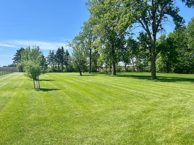 132 Henderson Rd, Arlington, MN 55307 - view of yard