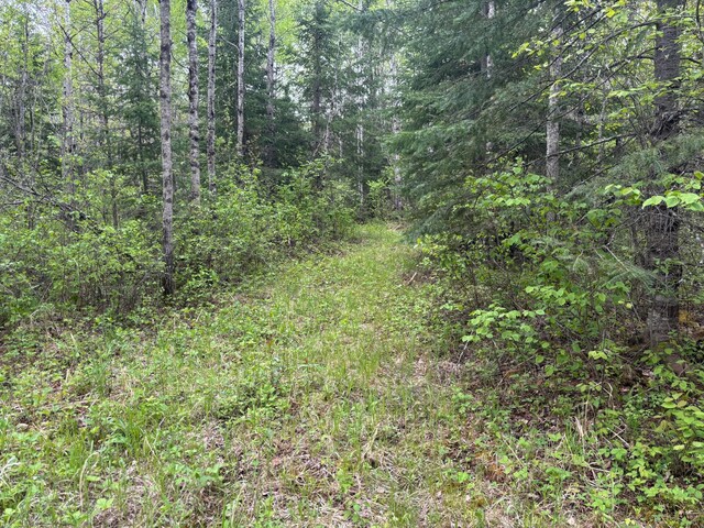 32241 State Highway 1, Effie, MN 56639