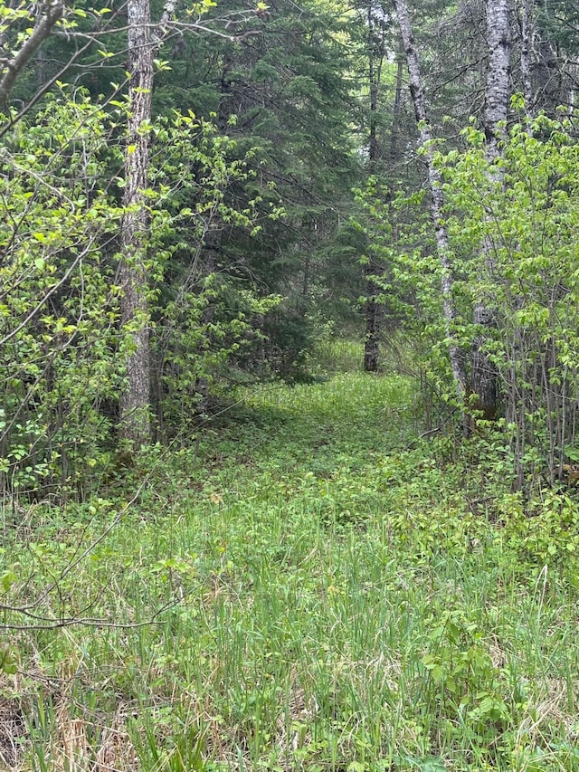 32241 State Highway 1, Effie, MN 56639