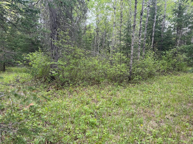 32241 State Highway 1, Effie, MN 56639