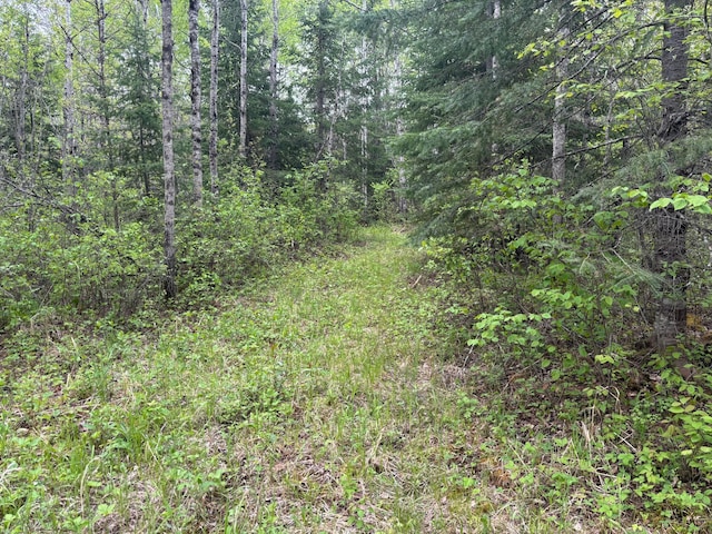 32241 State Highway 1, Effie, MN 56639