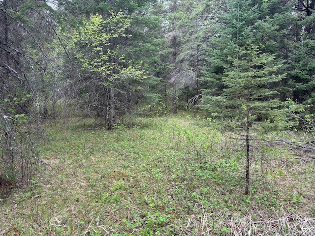 32241 State Highway 1, Effie, MN 56639