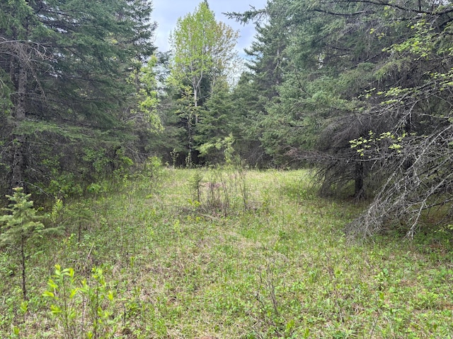 32241 State Highway 1, Effie, MN 56639
