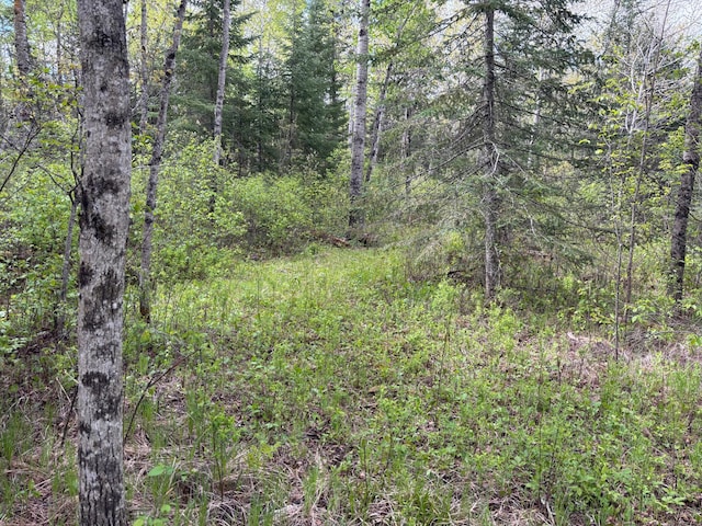 32241 State Highway 1, Effie, MN 56639