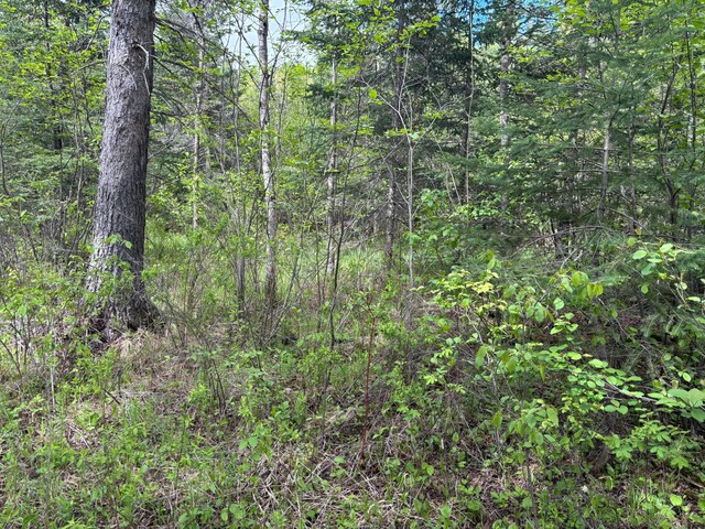 32241 State Highway 1, Effie, MN 56639
