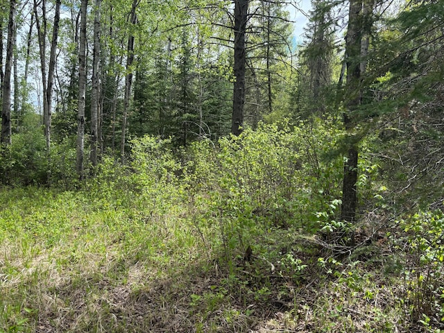 32241 State Highway 1, Effie, MN 56639