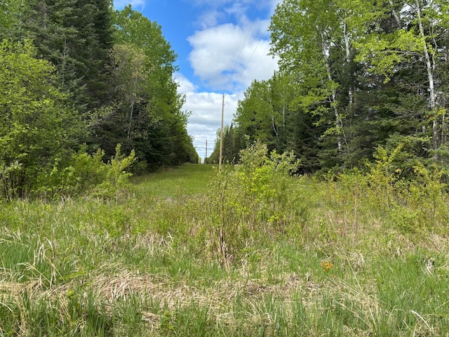 32241 State Highway 1, Effie, MN 56639