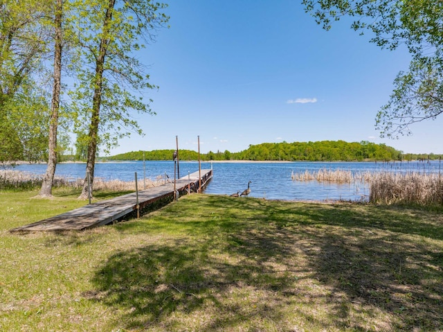 34612 Rebel Beach Rd, Cohasset, MN 55721