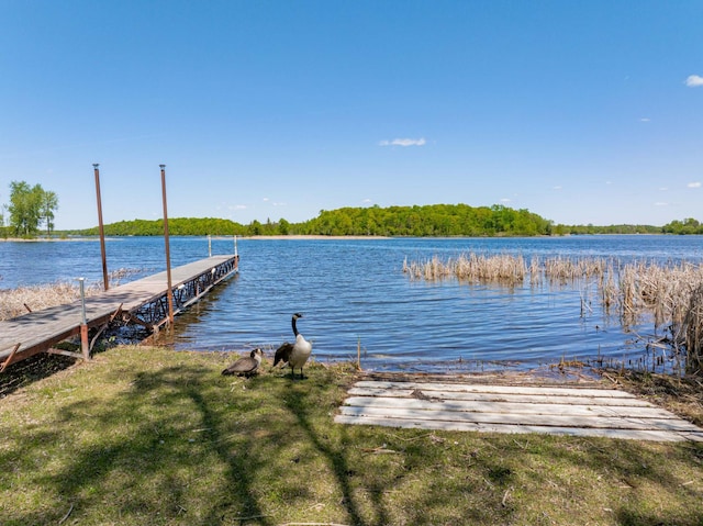 34612 Rebel Beach Rd, Cohasset, MN 55721