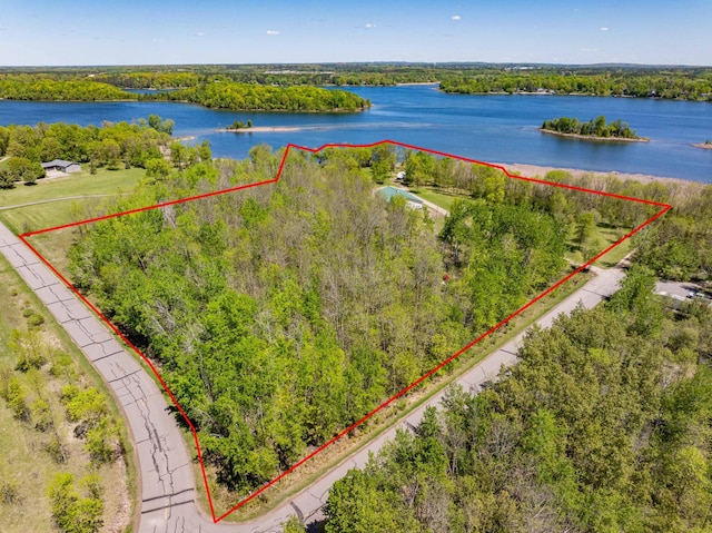 34612 Rebel Beach Rd, Cohasset, MN 55721