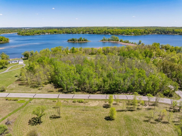 34612 Rebel Beach Rd, Cohasset, MN 55721