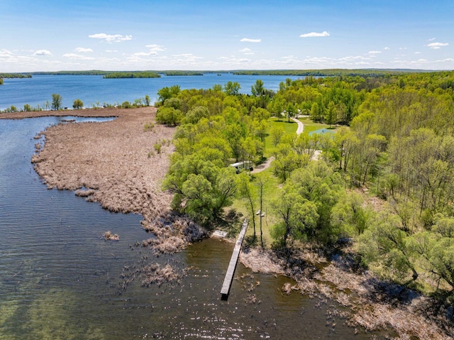 34612 Rebel Beach Rd, Cohasset, MN 55721