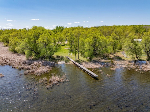 34612 Rebel Beach Rd, Cohasset, MN 55721