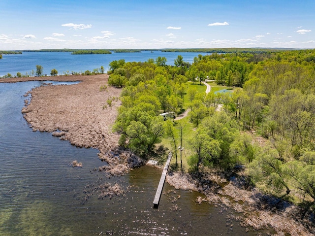 34612 Rebel Beach Rd, Cohasset, MN 55721