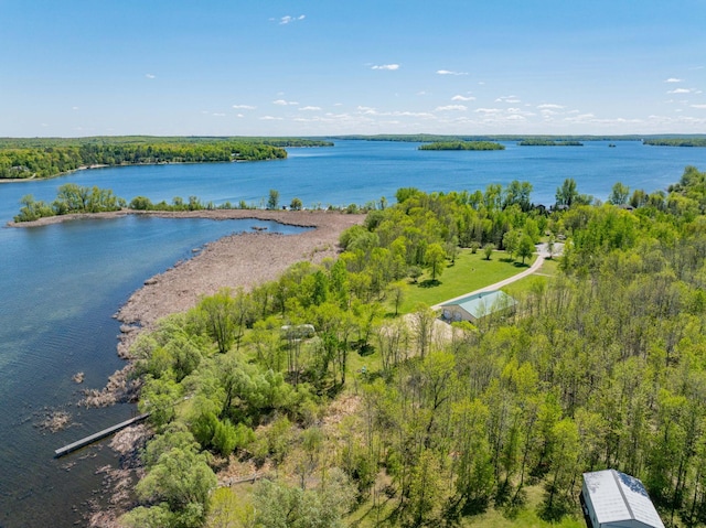 34612 Rebel Beach Rd, Cohasset, MN 55721