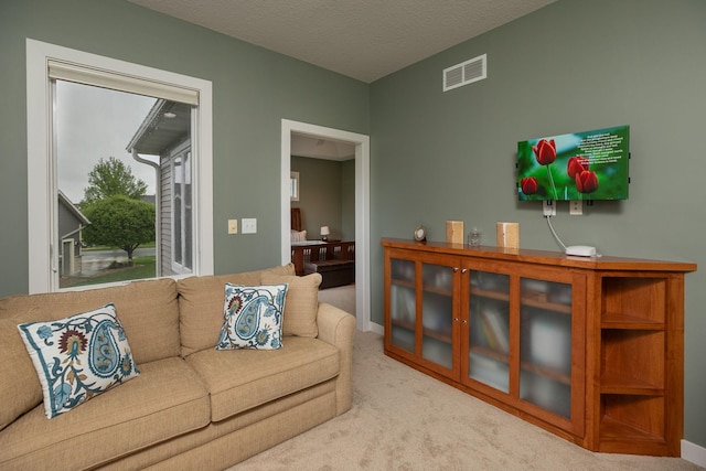 1121 Maplebeck Enclave NE, Byron, MN 55920 - view of carpeted living area