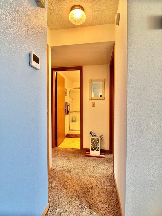 1815 Lakewood Ave, Albert Lea, MN 56007 - hallway with a textured wall, carpet flooring, and a textured ceiling
