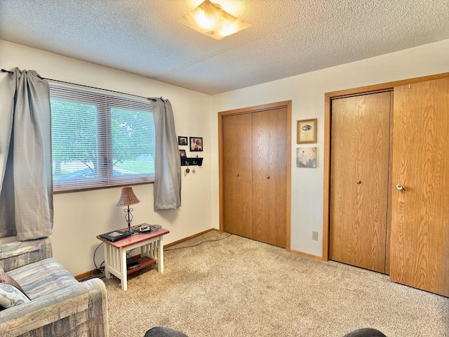 1815 Lakewood Ave, Albert Lea, MN 56007 - living area with a textured ceiling, carpet flooring, and baseboards