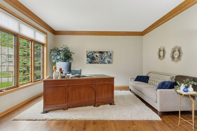 18172 Tamarack Dr, Minnetonka, MN 55345 - office with crown molding, light wood-style floors, and baseboards