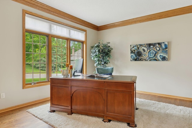 18172 Tamarack Dr, Minnetonka, MN 55345 - office area featuring baseboards, light wood-type flooring, and crown molding