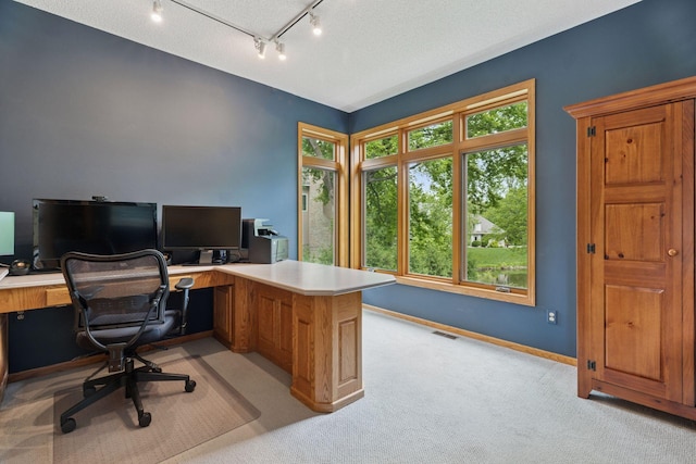 18172 Tamarack Dr, Minnetonka, MN 55345 - office with light carpet, rail lighting, and baseboards