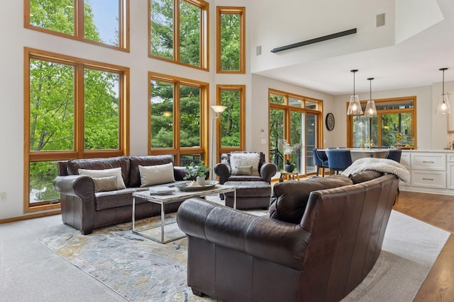 18172 Tamarack Dr, Minnetonka, MN 55345 - living area with healthy amount of natural light, wood finished floors, a towering ceiling, and baseboards