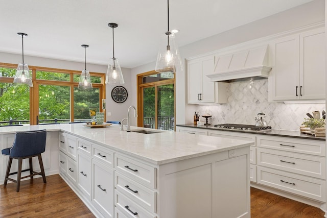 18172 Tamarack Dr, Minnetonka, MN 55345 - kitchen featuring a sink, custom range hood, backsplash, white cabinetry, and dark wood-style floors