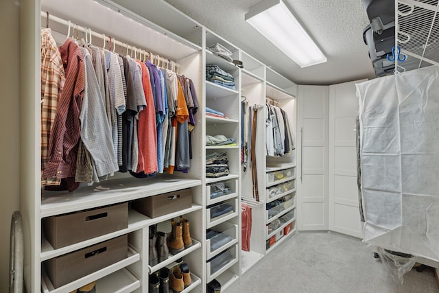 18172 Tamarack Dr, Minnetonka, MN 55345 - walk in closet featuring carpet flooring