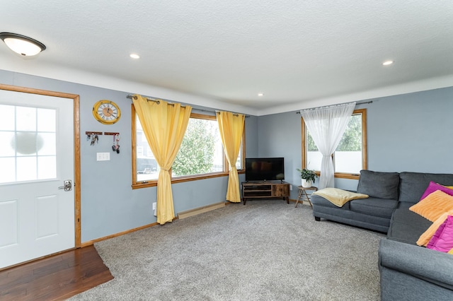 311 Wisconsin St, Lake City, MN 55041 - living area with healthy amount of natural light, recessed lighting, a textured ceiling, wood finished floors, and baseboards