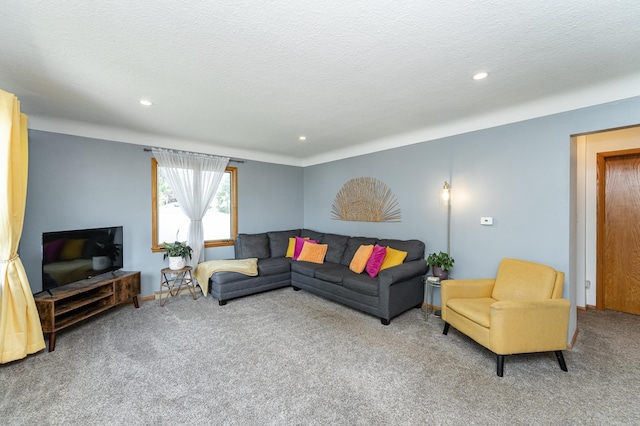 311 Wisconsin St, Lake City, MN 55041 - carpeted living area with recessed lighting and a textured ceiling