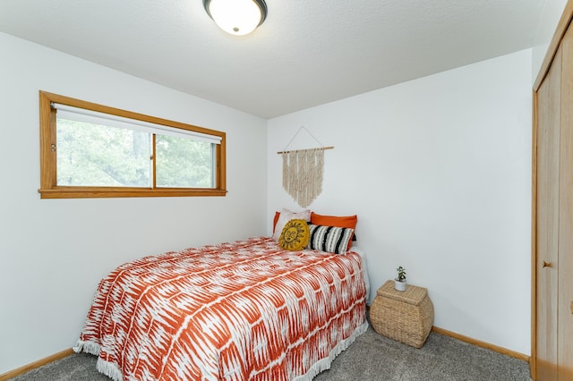 311 Wisconsin St, Lake City, MN 55041 - bedroom with carpet flooring, baseboards, and a closet