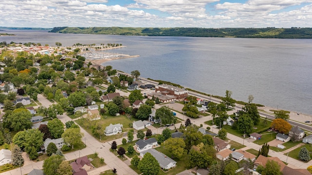 311 Wisconsin St, Lake City, MN 55041 - aerial view of residential area with a large body of water