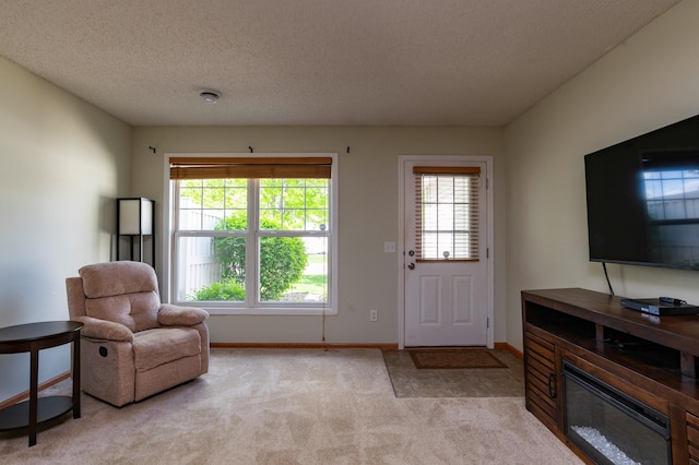 4960 149th St N Unit 6, Hugo, MN 55038 - foyer featuring light carpet, a textured ceiling, and baseboards