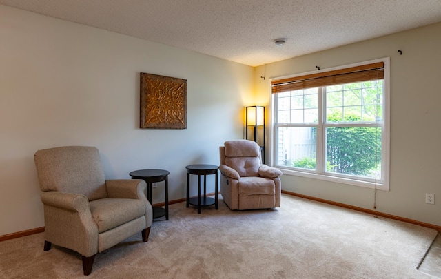 4960 149th St N Unit 6, Hugo, MN 55038 - living area featuring carpet, baseboards, and a textured ceiling