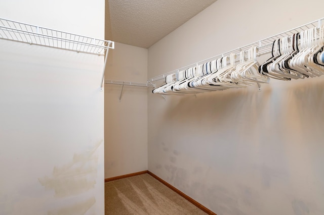 4960 149th St N Unit 6, Hugo, MN 55038 - spacious closet with light carpet